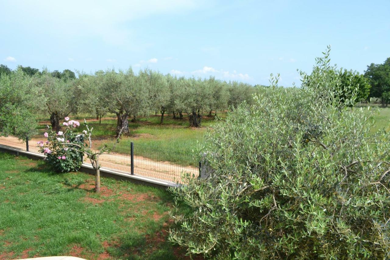 In Umag/istrien 36919 Umag